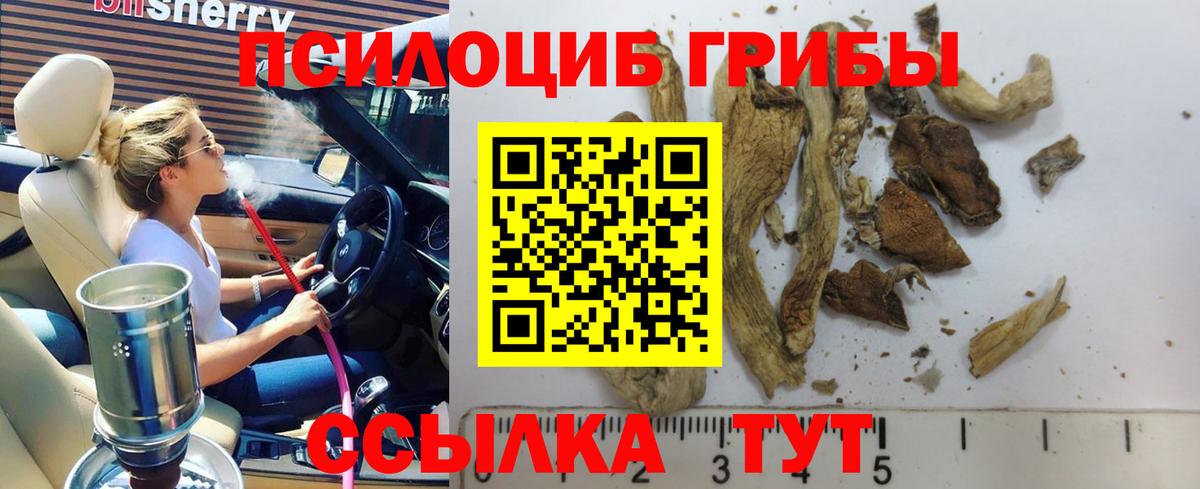 Псилоцибиновые грибы MAGIC MUSHROOMS Новочебоксарск